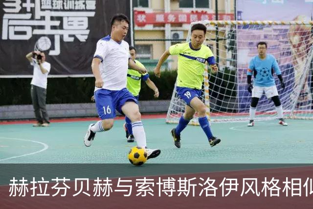赫拉芬贝赫与索博斯洛伊风格相似，难以共存导致失去主力资格